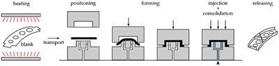 Analysis of the Thermoplastic Composite Overmolding Process: Interface Strength